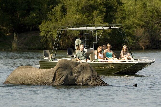 Full-day Safari Tour in Chobe - Potential Drawbacks or Considerations