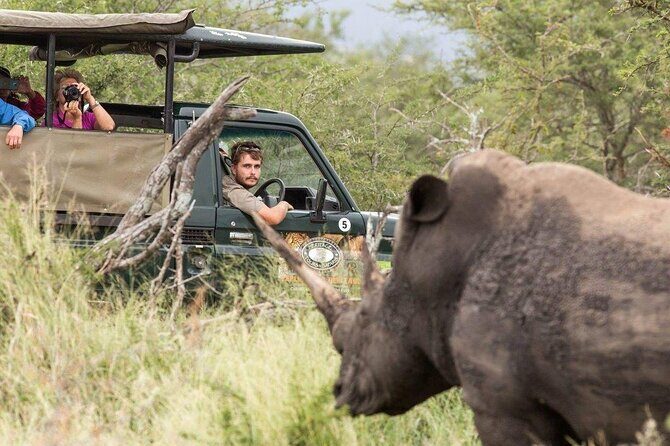 Full Day Safari Tour in Hluhluwe Imfolozi Park - Who Will Love This Safari?