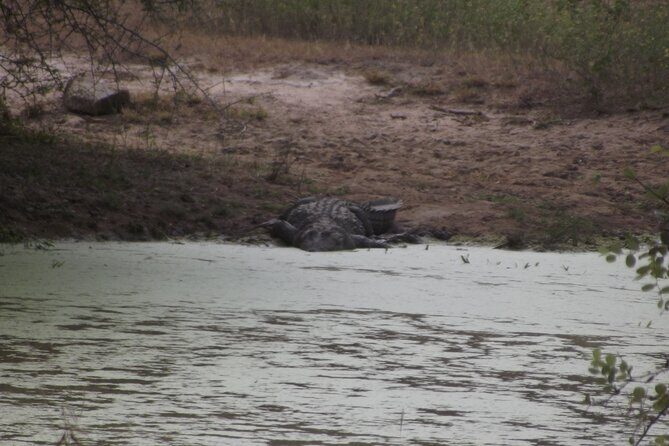 Full Day Safari Tour in Yala National Park - FAQ
