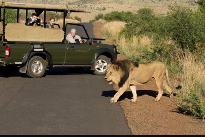Full Day Safari Tour of Pilanesberg National Park, Open Jeep experience - The Sum Up