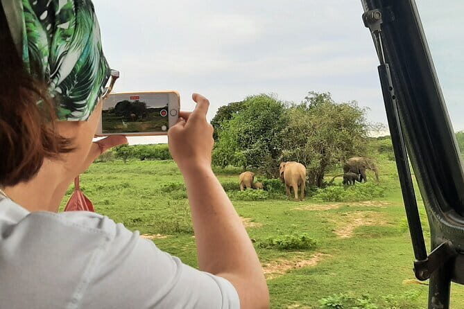 Full Day Safari Tour Yala - The Sum Up