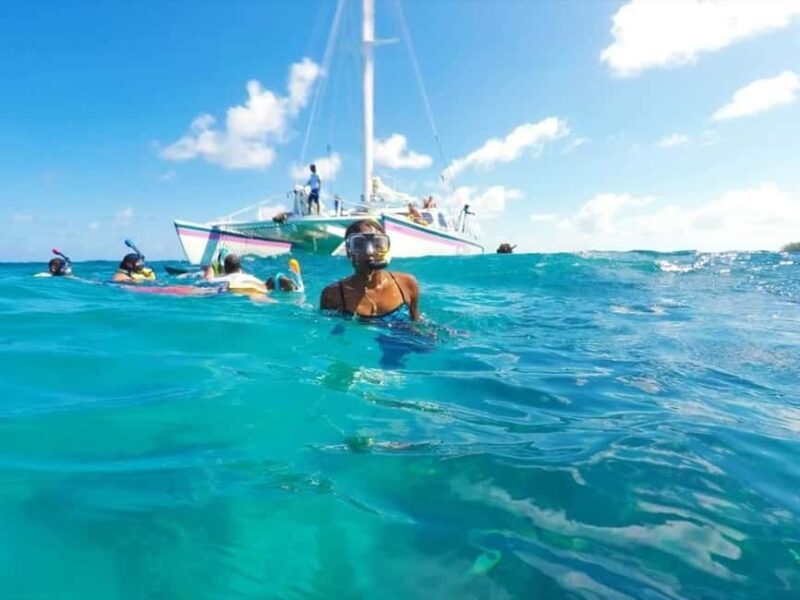 Full Day Sail and Snorkel with Turtles - Full Day Sail and Snorkel with Turtles: An Honest Look at a Bahamas Marine Adventure