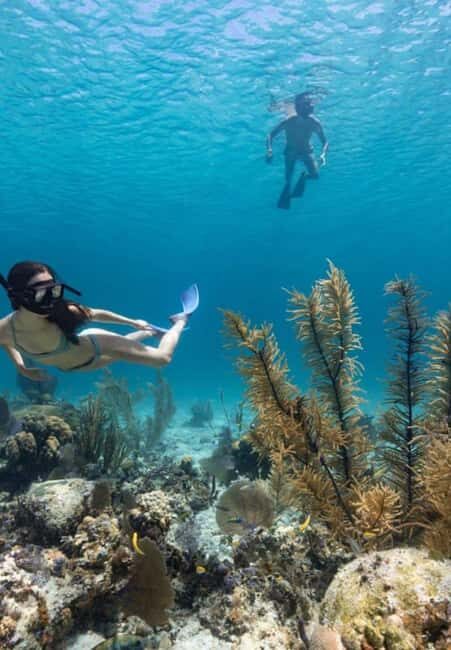 Full Day Sail and Snorkel with Turtles - The Full Itinerary Breakdown
