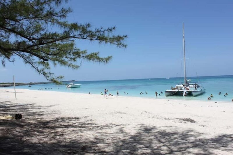 Full Day Sail and Snorkel with Turtles - Practical Tips for Future Travelers