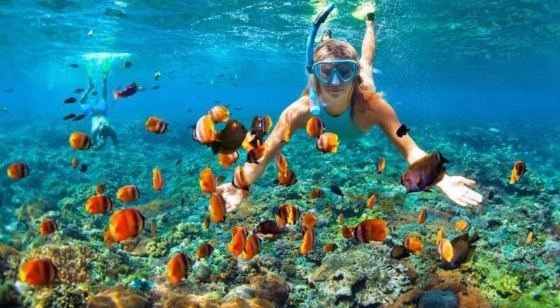 Full Day Sail and Snorkel with Turtles - FAQ