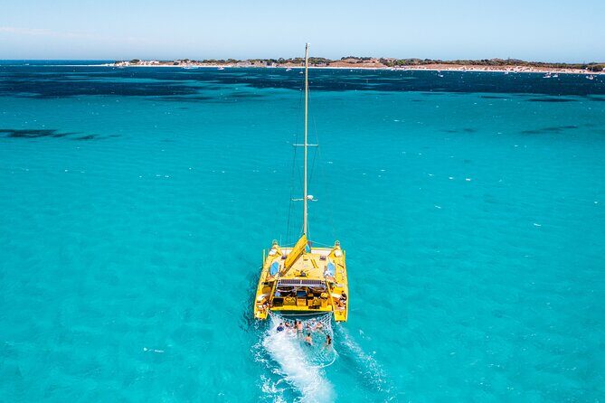 Full Day Sail to Rottnest Island from Fremantle - Key Points
