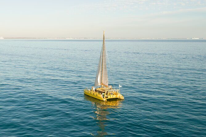 Full Day Sail to Rottnest Island from Fremantle - The Sum Up: Who Is This Tour Best For?
