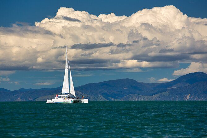 Full-Day Sailing Adventure in the Abel Tasman National Park - Who Is This Tour Best For?