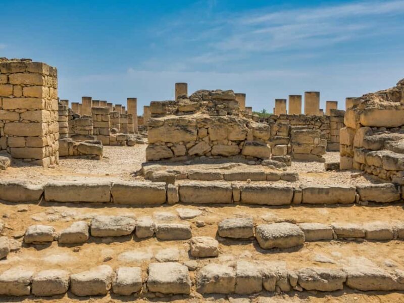 Full-Day Salalah City Tour - Who Should Consider This Tour?