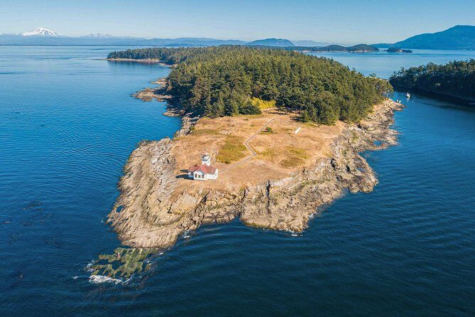 Full Day San Juan Island Kayaking Adventure - Why This Tour Offers Great Value