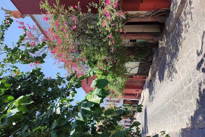 Full Day: San Miguel de Allende - Practical Details and Value