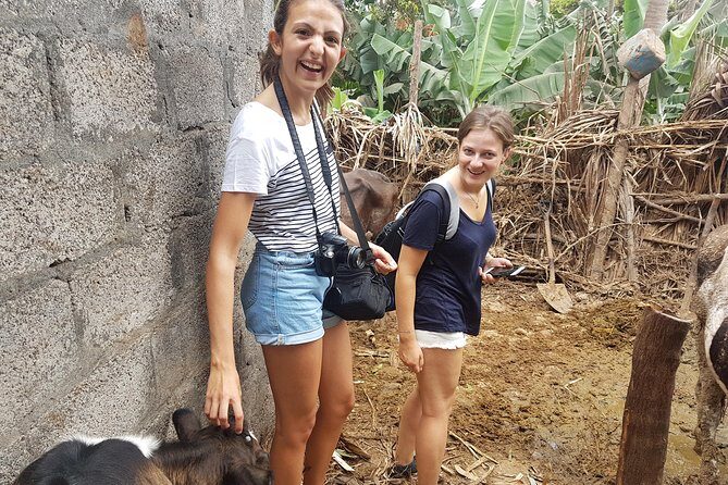 Full Day Santiago Island Tour - An In-Depth Look at the Full Day Santiago Island Tour