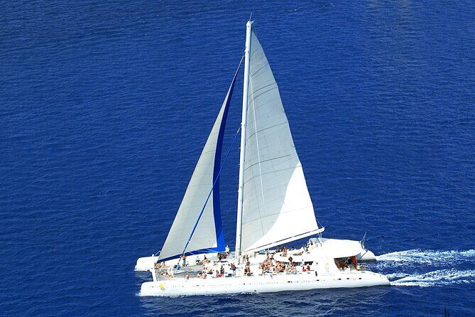 Full-Day Saona Island Tours All Inclusive - FAQ: Practical Questions About This Tour