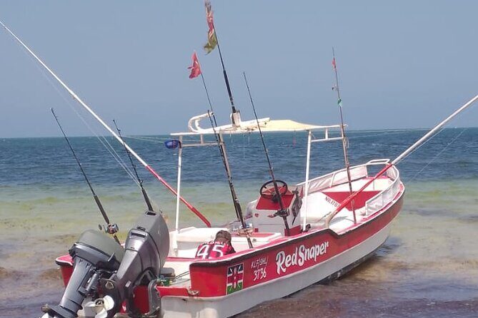 Full day Sardegna Island Malindi - Who Should Consider This Tour?