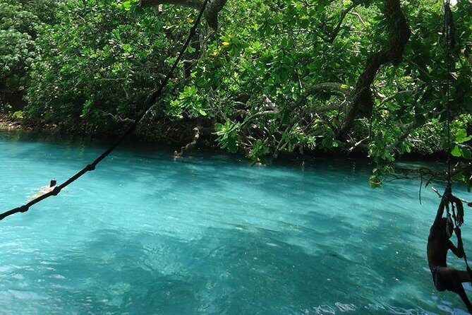 Full-Day Scenic Tour around the Island Tour from Port Vila - Introduction