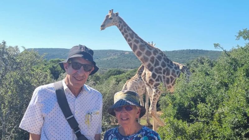 Full-Day Schotia Game Reserve & Giraffe Walk (Open 4x4) - The Full-Day Safari: What to Expect