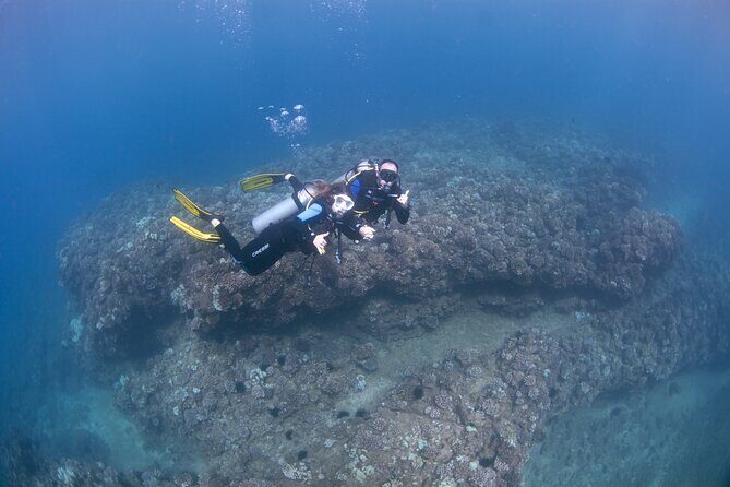 Full Day Scuba Dive Off The Na Pali Coast, Kauai-Mana Crack - Key Points