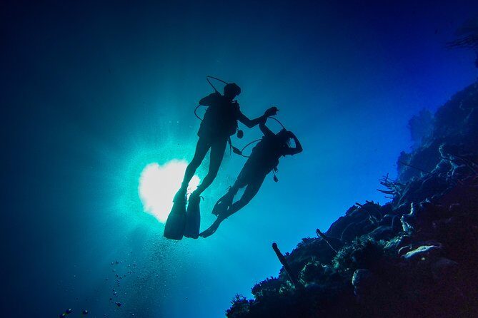 Full-Day Scuba Diving Catalina Island Tour from Bavaro - Introduction