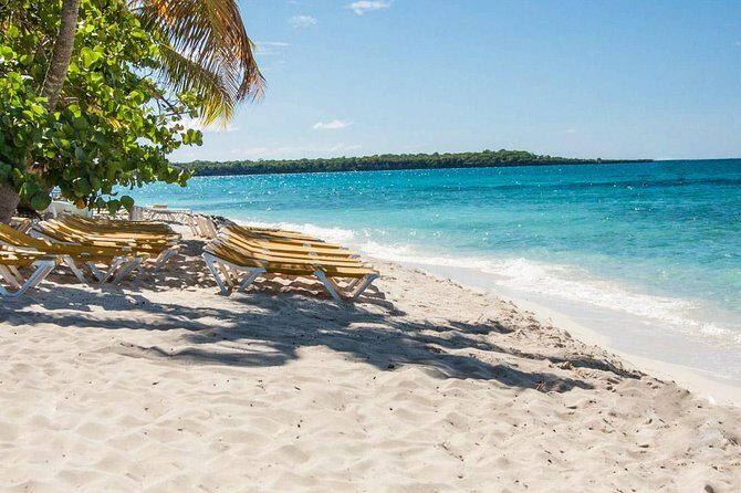 Full-Day Scuba Diving Catalina Island Tour from Bavaro - Key Points