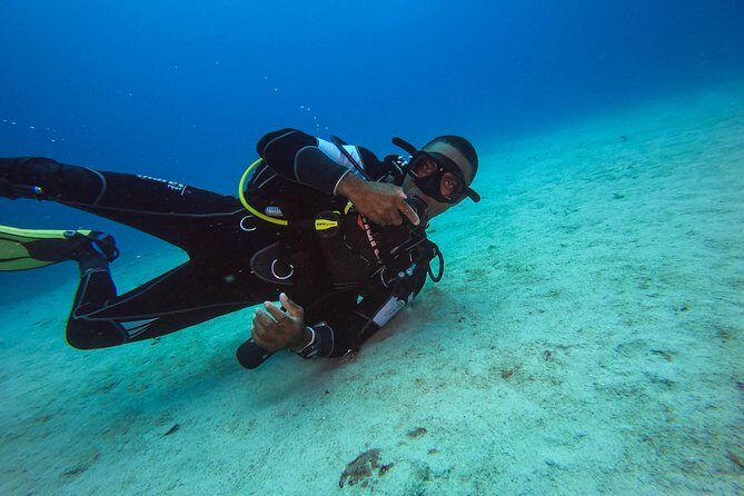 Full-Day Scuba Diving Catalina Island Tour from Bavaro - Final Thoughts: Who Is This Tour For?