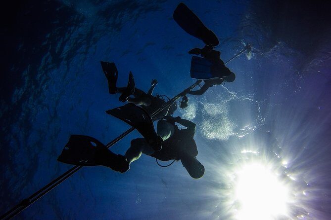 Full-Day Scuba Diving Catalina Island Tour from Bavaro - FAQs