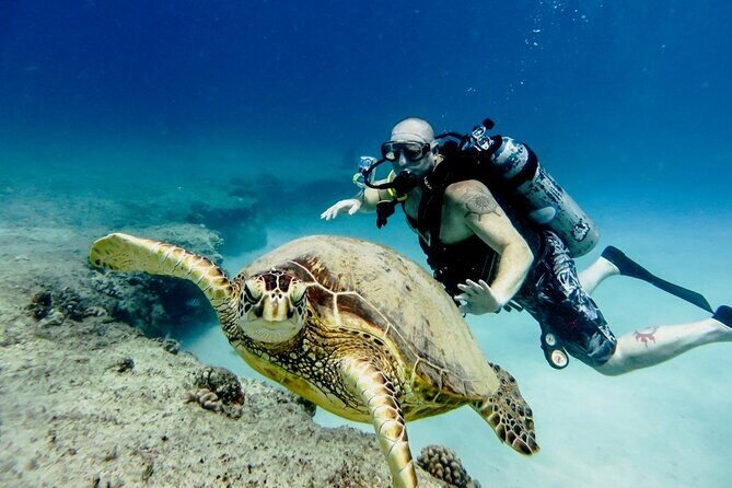 Full-day Scuba Diving Experience for Beginners & Lunch - Sharm El Sheikh - The Realities of the Experience