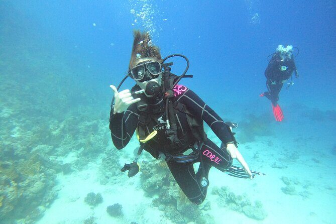 Full Day Scupa Diving And Snorkeling sea trip activity - Hurghada - Discovering the Underwater World: A Full Day of Snorkeling and Scuba Diving in Hurghada