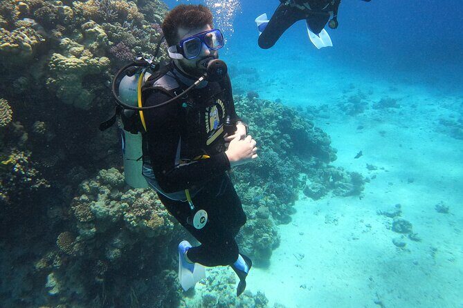 Full Day Scupa Diving And Snorkeling sea trip activity - Hurghada - Final Thoughts