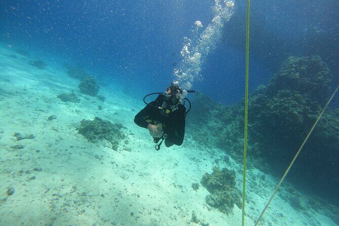 Full Day Scupa Diving And Snorkeling sea trip activity - Hurghada - FAQ