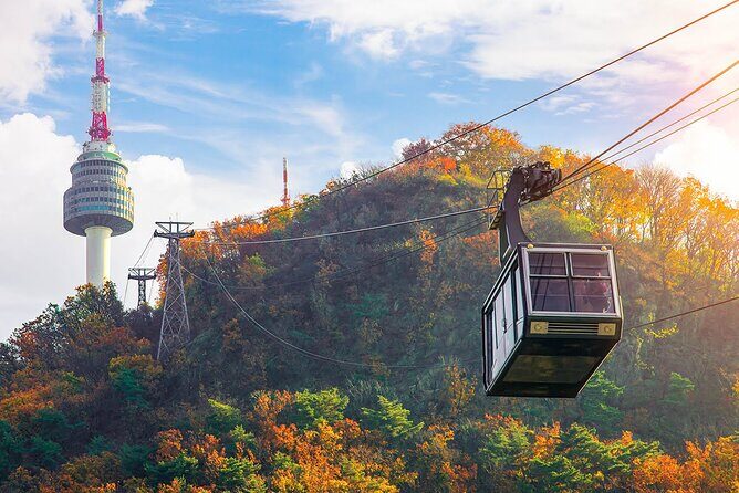 Full-Day Seoul Highlights Private Guided Tour - FAQ