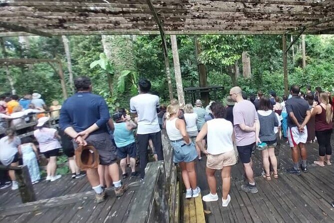 Full-Day Sepilok Orangutan and Sandakan City Trail from Kota Kinabalu - Who Should Take This Tour?