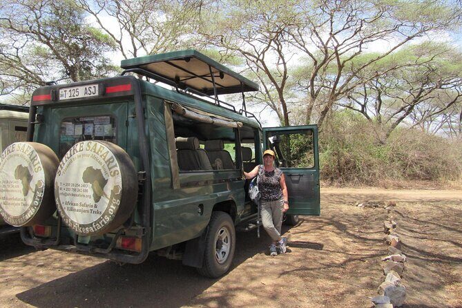 Full-Day Serengeti Tour from Mwanza - The Sum Up