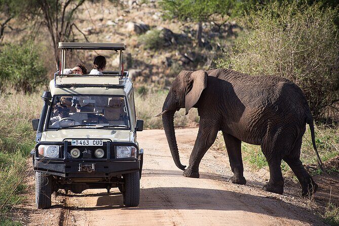 Full-Day Serengeti Tour from Mwanza - Frequently Asked Questions
