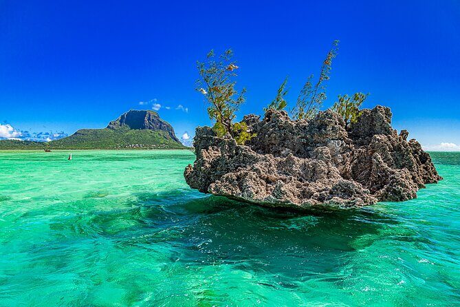 Full day Shared Speedboat Tour - South West Lagoon Dolphin Swim - What Past Travelers Say