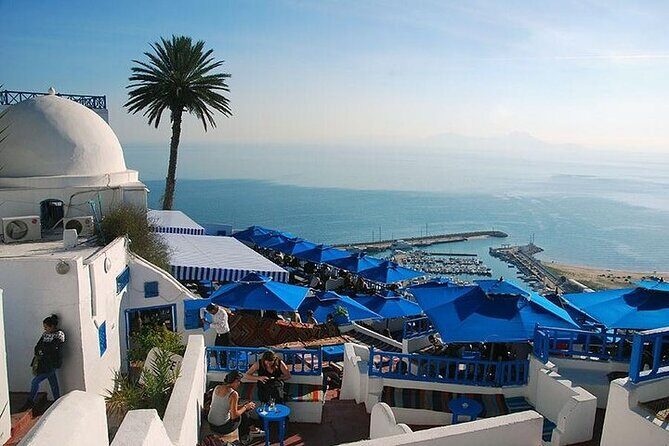 Full-Day Shore Excursion Private Tour in Tunisia Carthage ,Medina, Sidi Bou said - Key Points