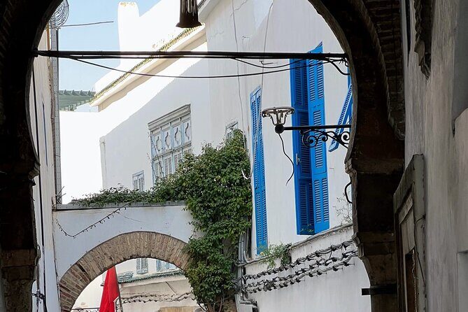 Full-Day Shore Excursion Private Tour in Tunisia Carthage ,Medina, Sidi Bou said - Authentic Experiences and Real Traveler Insights