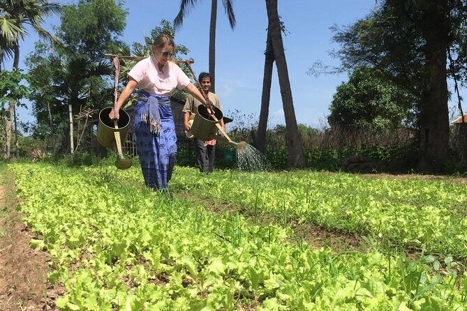 Full Day Siem Reap Farm Tour with Cooking Class and Monk Blessing - Full Day Siem Reap Farm Tour with Cooking Class and Monk Blessing