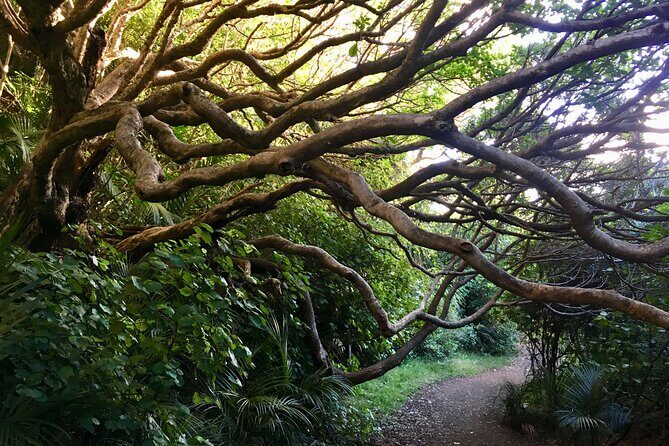 Full Day Sightseeing Tour in Auckland - Final Thoughts: Who Should Book This Tour?