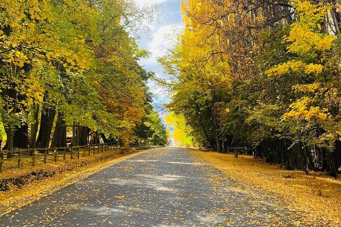 Full Day Sightseeing Tour To Discover Queenstown's Scenic Wonder - An In-Depth Look at the Tour Itinerary