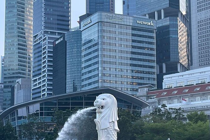 Full Day Singapore City Tour (With Flyer,Skypark and GBB) - Practical Details and Considerations