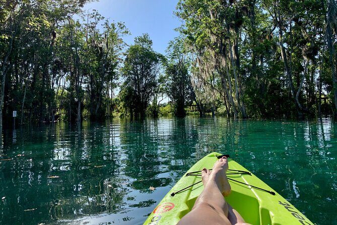 Full Day Single Kayak Rental In Crystal River - What Makes This Tour Stand Out