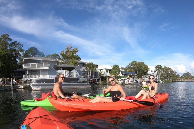 Full Day Single Kayak Rental In Crystal River - The Wildlife and Scenery