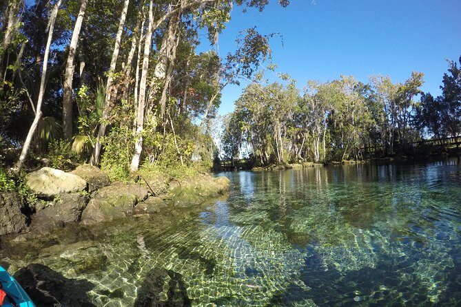 Full Day Single Kayak Rental In Crystal River - Who Is This Experience Best For?