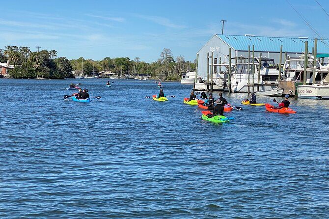 Full Day Single Kayak Rental In Crystal River - The Sum Up