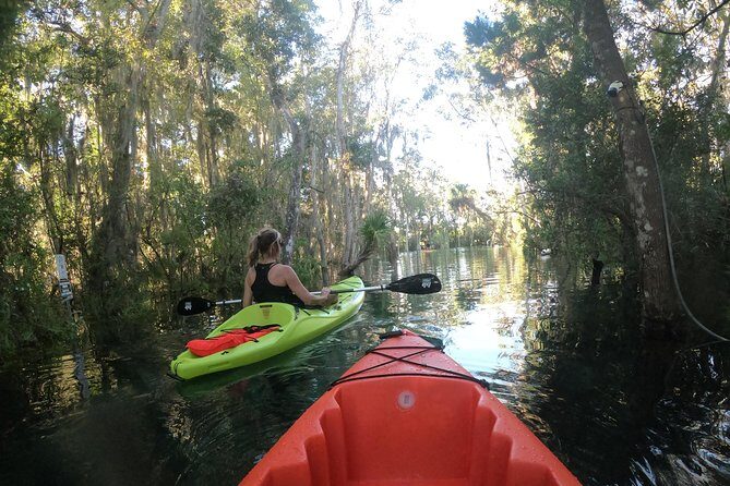 Full Day Single Kayak Rental In Crystal River - Frequently Asked Questions