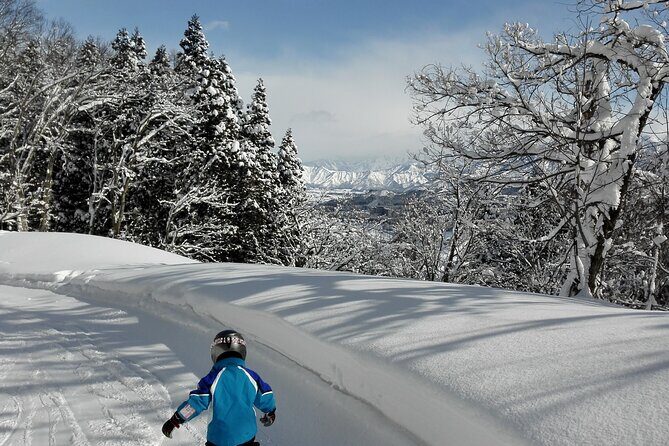 Full Day Ski Lesson (6 hours) in Yuzawa, Japan - Introduction: Why a Private Ski Lesson in Yuzawa?