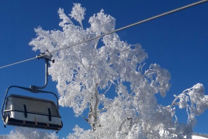 Full Day Ski Lesson (6 hours) in Yuzawa, Japan - The Value of Expert Instruction and Stunning Scenery