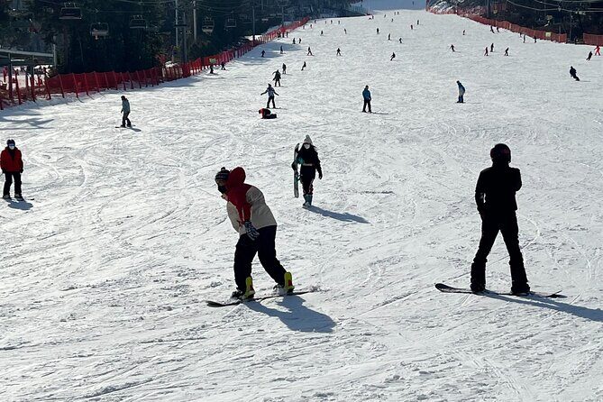 Full Day Ski Tour From Seoul to Yongpyong Ski Resort - Who Should Consider This Tour?