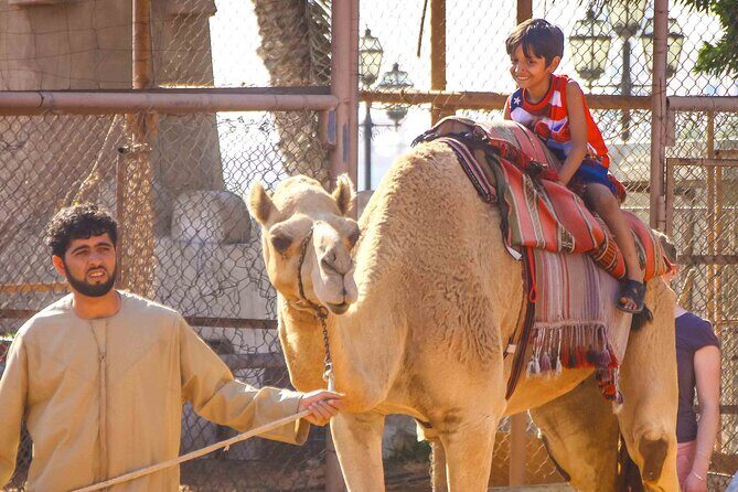 Full Day Small Group Abu Dhabi City Guided Tour - Practicalities: What You Need to Know