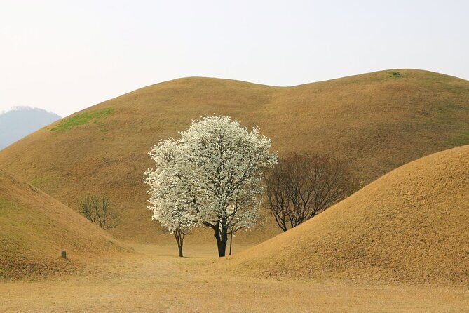 Full-Day Small Group GyeongJu History Tour from Seoul - Why Choose This Tour?